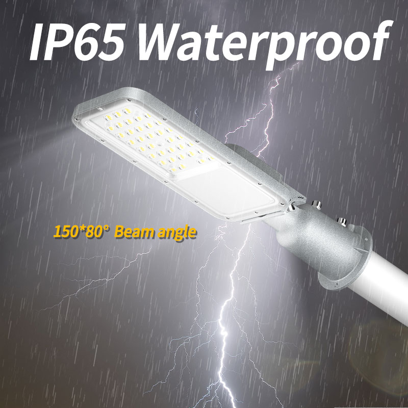 Outdoor Street Light IP65 Outd - Urban Farming Wall 评论和价格